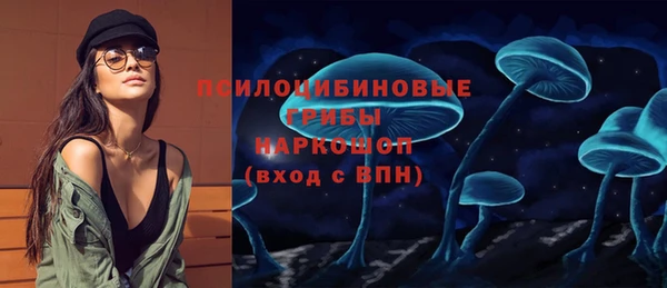 стафф Заволжье