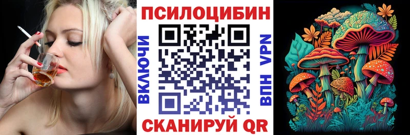 Купить где  Покачи  Галлюциногенные грибы Psilocybe 